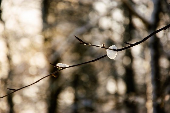 Bild: Wetterbild
