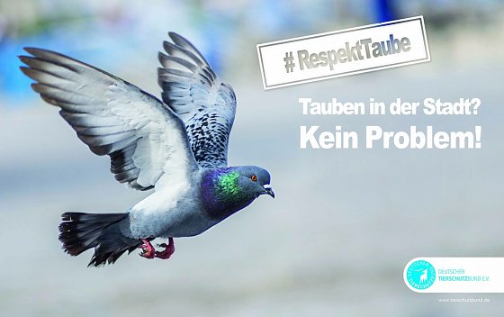 Bild: Kampagne wird morgen gestartet