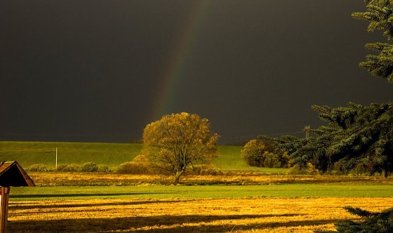 Bild: Wetterbild