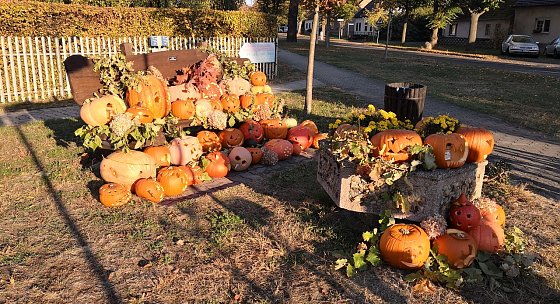 Bild: Abschied vom goldenen Oktober
