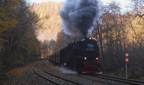 Bild: Herbst im S&uuml;dharz