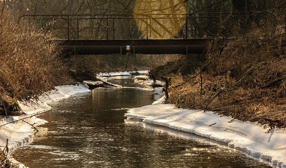 Bild: Wetterbild
