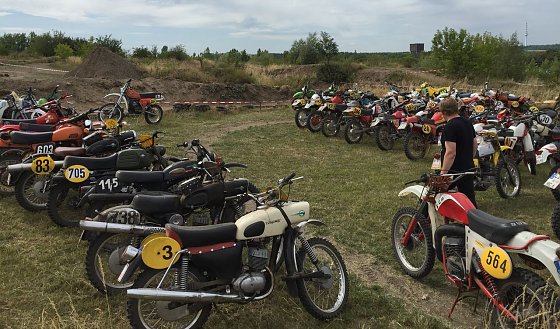 Bild: Klassik Gel&auml;ndesport in Hamma