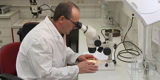 Bild: Die Borkenk&auml;fer-Z&auml;hler