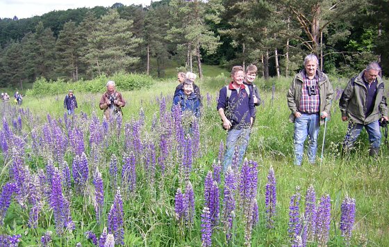 Bild: Fachgruppe Ornithologie auf Entdeckungstour.