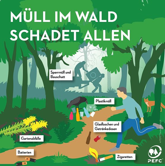 Bild: Info-Plakat zu M&uuml;ll im Wald