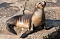 Besuch im Zoo am Meer Besuch im Zoo am Meer