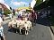 Festumzug Gernrode 2015 Festumzug Gernrode 2015