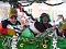 Rosenmontagsumzug Sondershausen