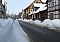 Wintergr&uuml;&szlig;e
