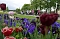 Über Tausend Gäste waren bei der Dankeschön-Veranstaltung auf dem Gelände der Landesgartenschau in Leinefelde-Worbis. Über Tausend Gäste waren bei der Dankeschön-Veranstaltung auf dem Gelände der Landesgartenschau in Leinefelde-Worbis.