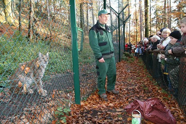 Bild: Raubtier-F&uuml;tterung