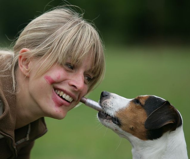 Bild: Aber bitte ohne Hund