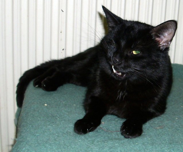 Bild: Sparky