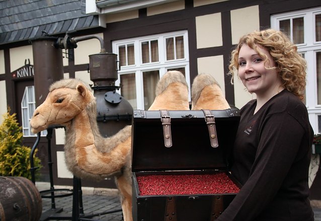 Bild: Neue Ausstellung wird vorbereitet