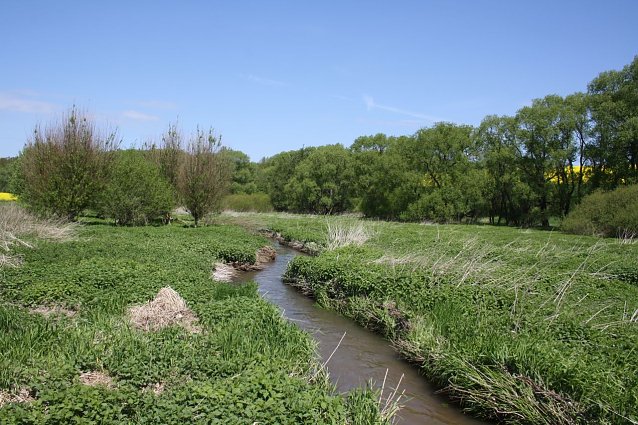 Bild: Naturefund
