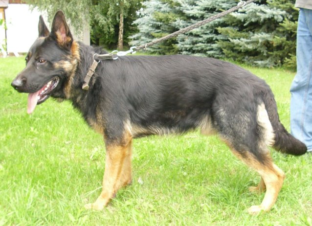 Bild: Hector