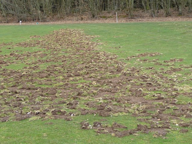 Bild: Golfplatz
