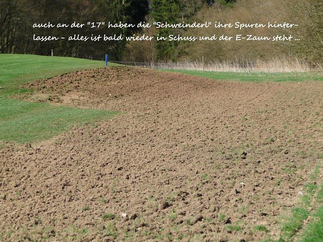 Bild: Golfplatz