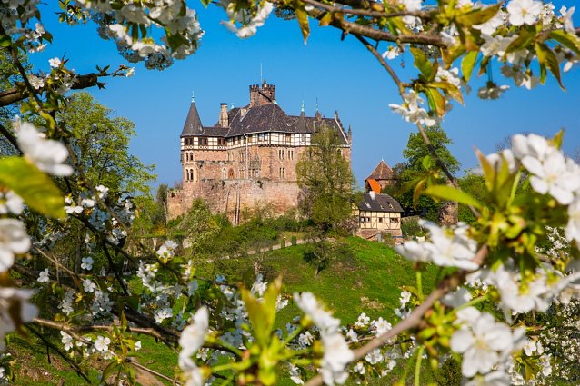 Bild: Schloss Berlepsch