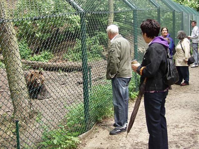 Bild: B&auml;renpark