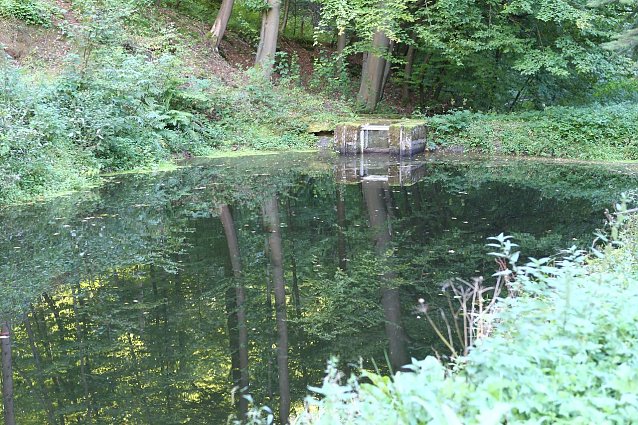 Bild: Am Braunsteinhaus