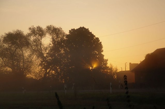 Bild: Wetter-Bild