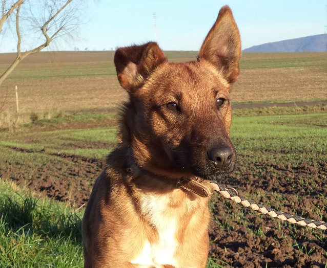 Bild: Willi
