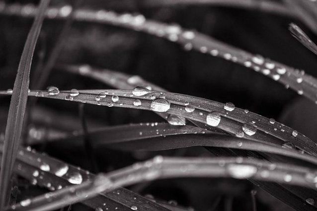 Bild: Wetter-Bild