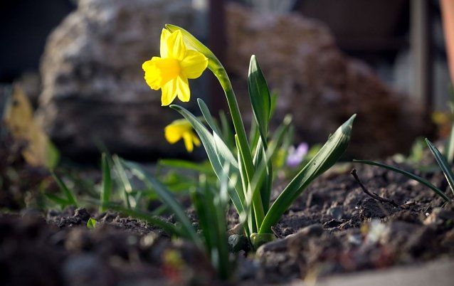 Bild: Wetter-Bild