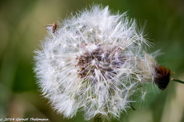 Bild: Wetter-Bild