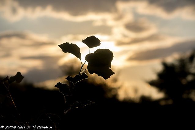 Bild: Wetter-Bild