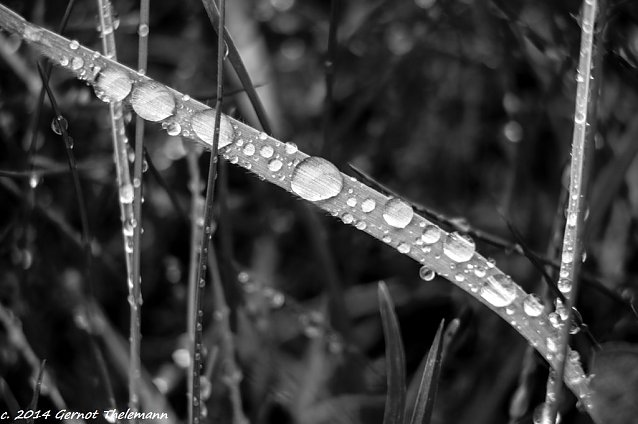 Bild: Wetter-Bild