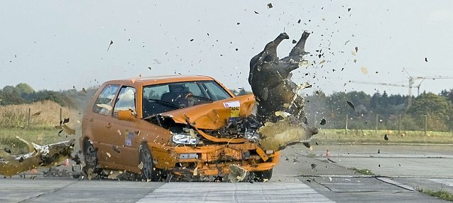 Bild: Simulierter Wildunfall
