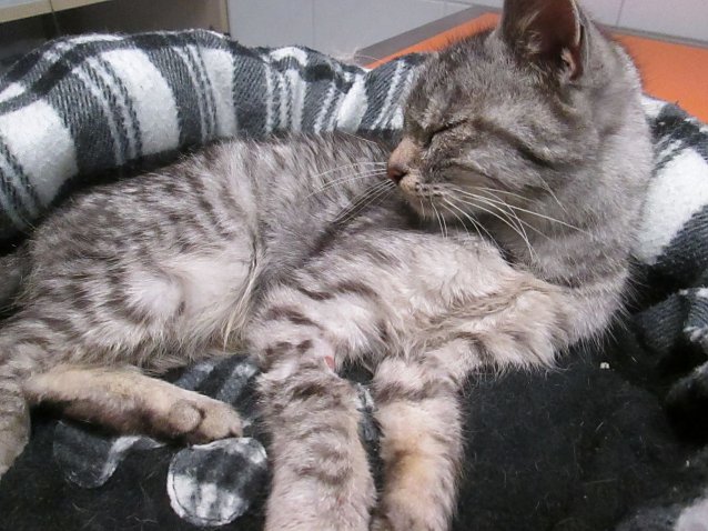 Bild: Kitty