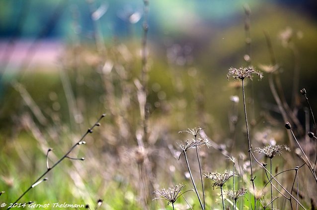 Bild: Wetter-Bild