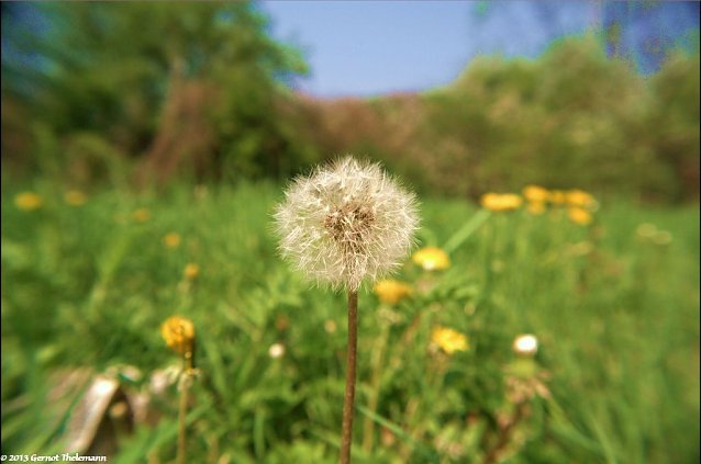 Bild: Wetter-Bild