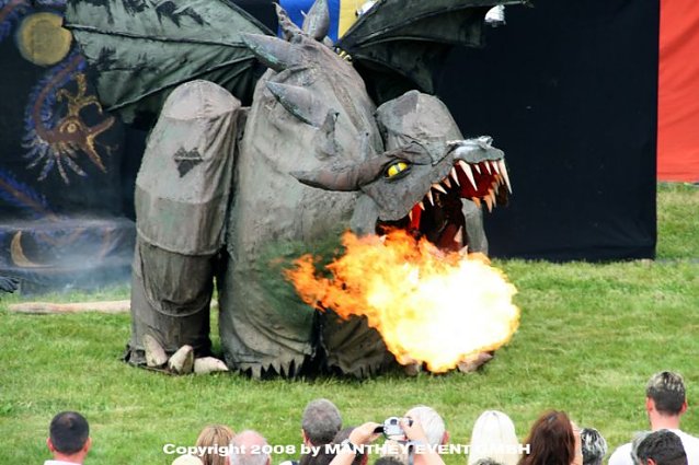 Bild: Der Drache