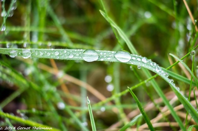 Bild: Wetterbild