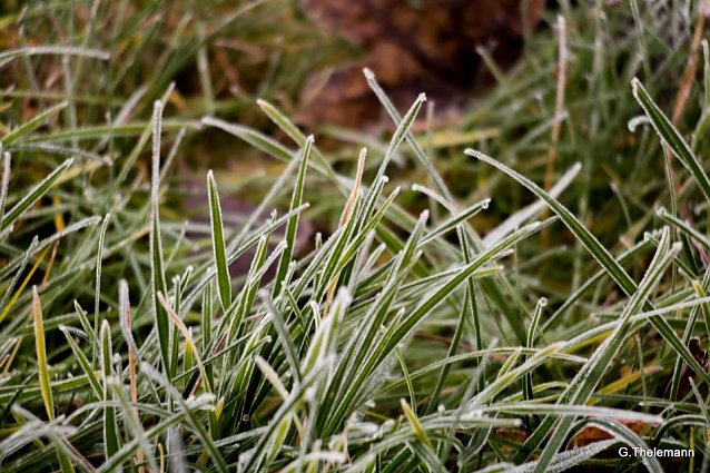 Bild: Wetter-Bild