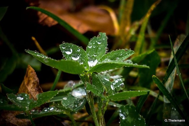 Bild: Wetter-Bild
