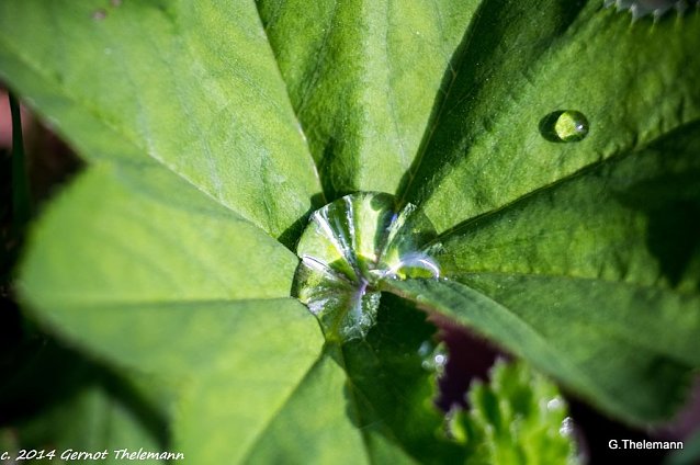 Bild: Wetterbild