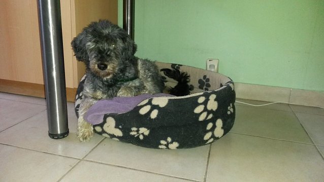 Bild: Bella