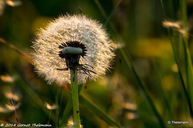 Bild: Wetterbild