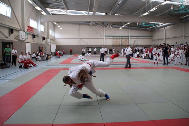 Bild: JuJutsu