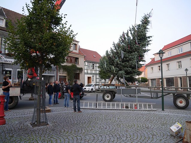 Bild: Baum aufstellen