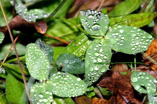 Bild: Wetterbild