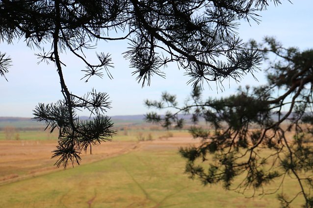 Bild: Wetterbild
