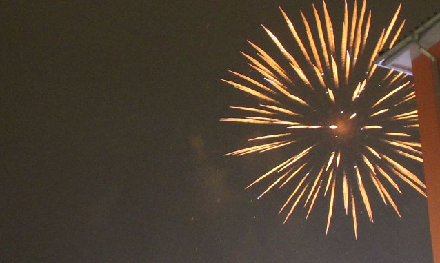 Bild: Silvester mit Tieren - Tipps vom Tierschutzbund