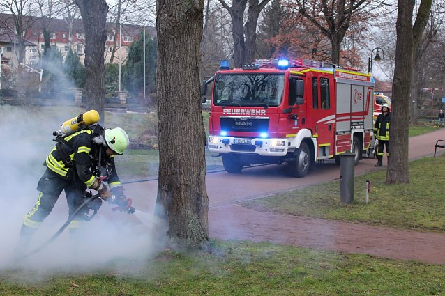 Bild: Baumbrand